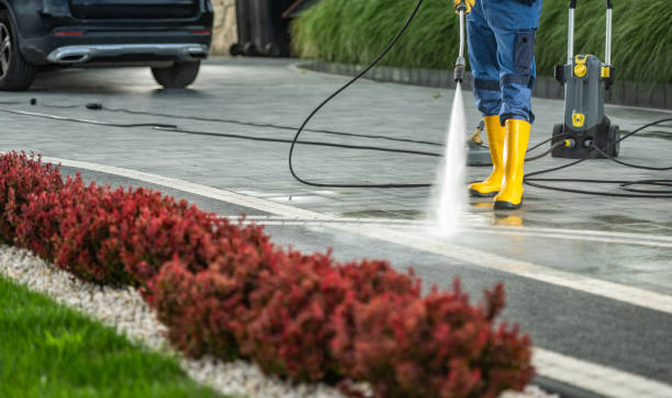 Best House Exterior Washing  in Wilson, AR
